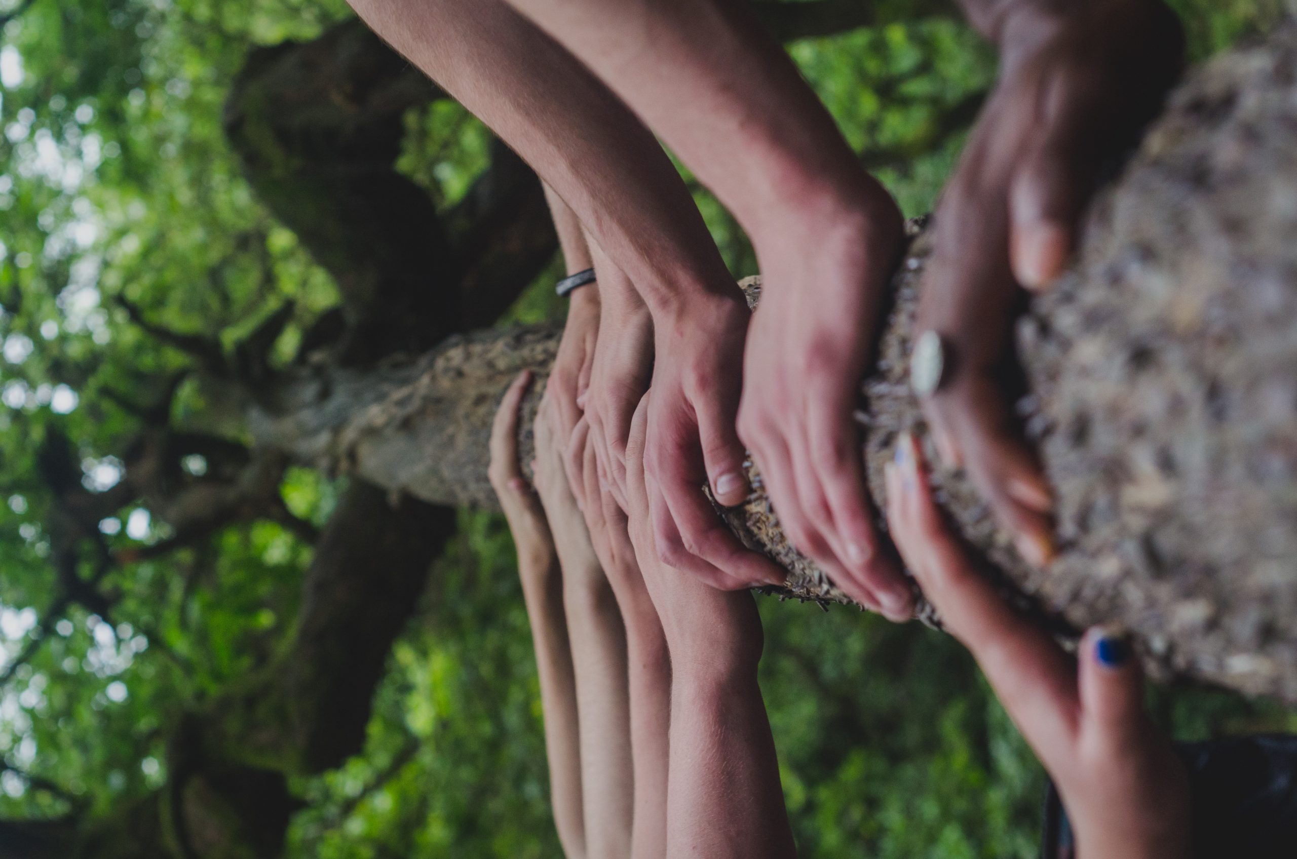 shane-rounce-682783-unsplash
