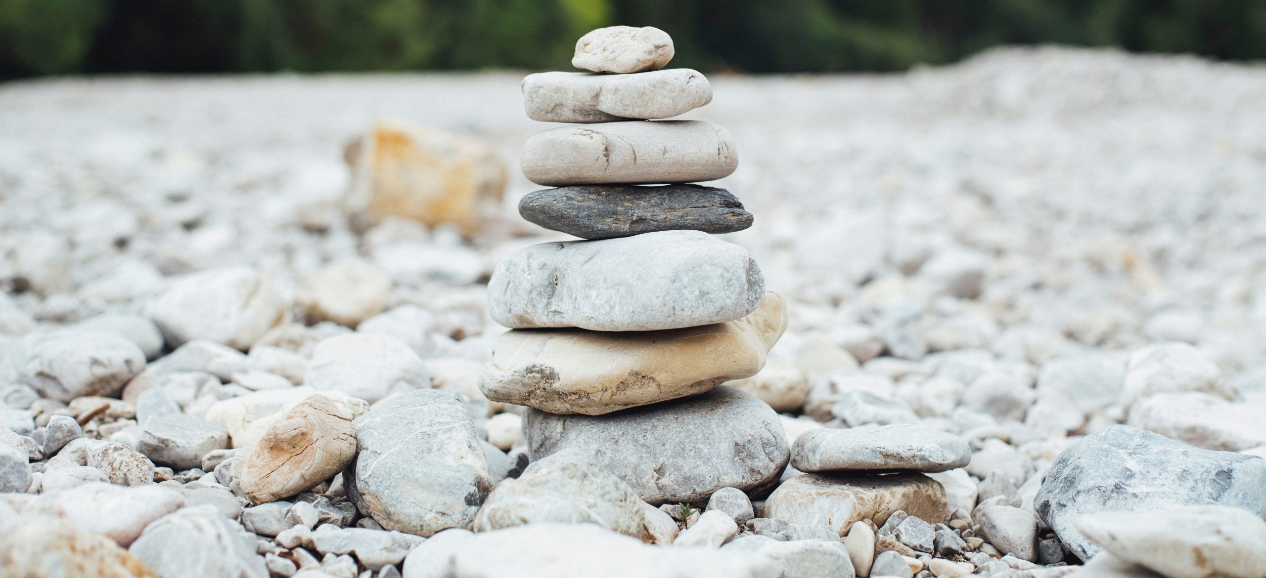 markus-spiske-1054398-unsplash