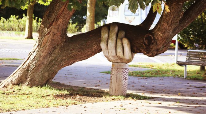 What 40 Years of Research Reveals About the Differences Between Disruptive and Radical Innovation